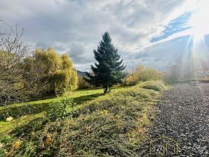 Prodej vícegeneračního domu, Třebušín, 750 m2