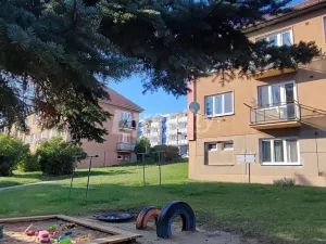Pronájem bytu 2+1, Náměšť nad Oslavou, Petra Křičky, 54 m2