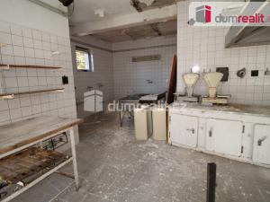 Prodej činžovního domu, Lázně Kynžvart, Vrchlického, 1385 m2