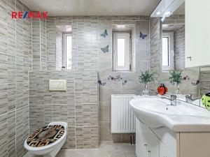 Prodej rodinného domu, České Velenice, Komenského, 247 m2