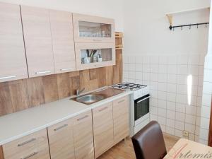 Pronájem bytu 1+1, Ostrava - Zábřeh, Výškovická, 40 m2