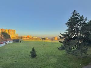 Pronájem bytu 2+kk, Brno, Mikuláškovo náměstí, 43 m2