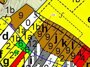 Dražba lesa, Náměšť nad Oslavou, 1976 m2