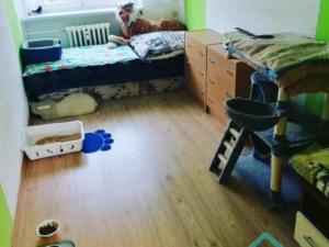 Prodej bytu 3+1, Krnov - Pod Cvilínem, SPC V, 74 m2