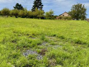 Prodej pozemku pro bydlení, Dřevohostice, Zámecká, 1000 m2