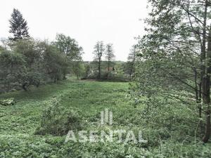 Prodej pozemku, Orlová - Město, Klášterní, 5850 m2