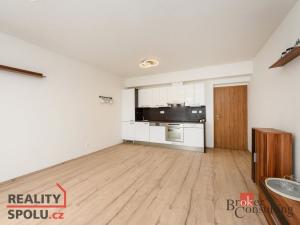 Pronájem bytu 2+kk, Plzeň - Bolevec, U Velkého rybníka, 59 m2