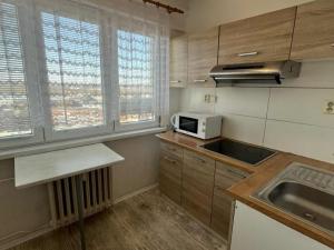 Pronájem bytu 1+1, Ostrava - Mariánské Hory, Vršovců, 30 m2