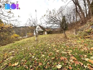 Prodej chalupy, Velké Losiny - Žárová, 110 m2