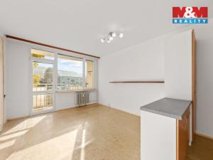 Prodej bytu 1+kk, Děčín - Děčín III-Staré Město, Žerotínova, 28 m2