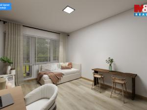 Prodej bytu 1+kk, Děčín - Děčín III-Staré Město, Žerotínova, 28 m2