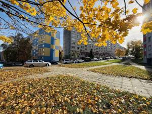 Pronájem bytu 3+1, Olomouc - Neředín, Stiborova, 70 m2