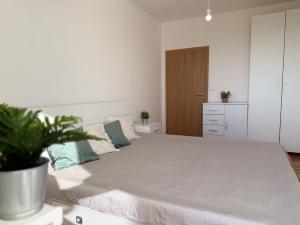 Pronájem bytu 3+1, Olomouc - Neředín, Stiborova, 70 m2