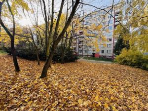 Pronájem bytu 3+1, Olomouc - Neředín, Stiborova, 70 m2