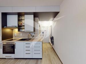 Pronájem bytu 1+1, Dýšina, K Chlumu, 35 m2