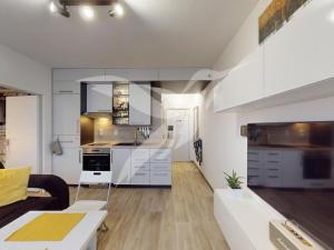 Pronájem bytu 1+1, Dýšina, K Chlumu, 35 m2