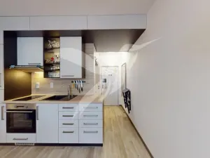 Pronájem bytu 1+1, Dýšina, K Chlumu, 35 m2