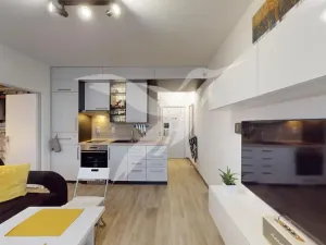 Pronájem bytu 1+1, Dýšina, K Chlumu, 35 m2