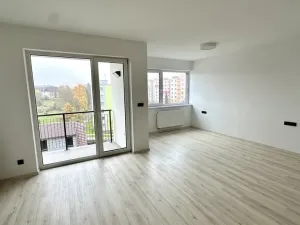 Pronájem bytu 1+kk, Plzeň, Pilařská, 42 m2