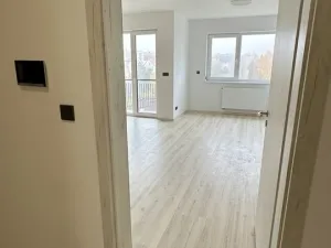 Pronájem bytu 1+kk, Plzeň, Pilařská, 42 m2