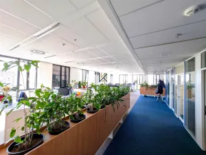 Pronájem kanceláře, Praha - Karlín, Rohanské nábřeží, 564 m2