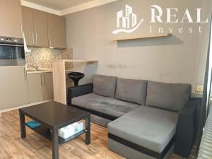 Pronájem bytu 1+kk, Chomutov, Seifertova, 20 m2