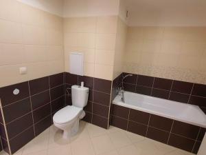 Pronájem bytu 3+1, Karlovy Vary, Raisova, 100 m2