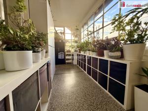 Prodej rodinného domu, Ostrožská Nová Ves, Dědina, 125 m2