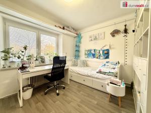 Prodej rodinného domu, Ostrožská Nová Ves, Dědina, 125 m2