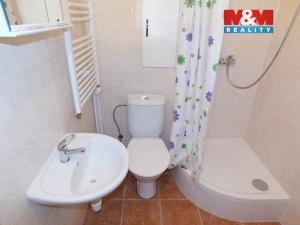 Pronájem bytu 1+1, Kladno, Sevastopolská, 30 m2