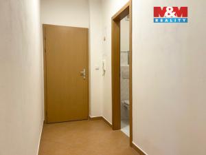 Pronájem bytu 2+kk, Plzeň - Bolevec, Plaská, 64 m2