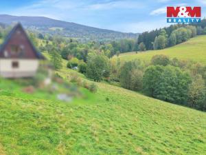 Prodej louky, Rokytnice nad Jizerou - Františkov, 4678 m2