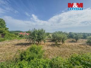 Prodej pozemku pro bydlení, Bechlín, 1185 m2