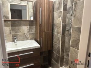 Pronájem bytu 2+1, Plzeň - Východní Předměstí, Rychtaříkova, 54 m2