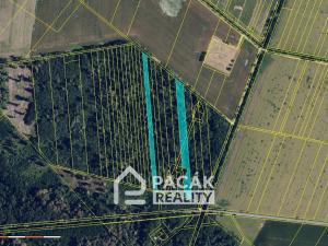 Prodej lesa, Pňovice, 10670 m2