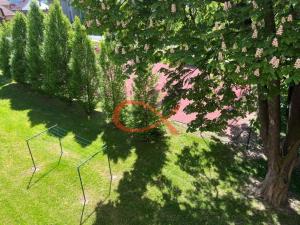 Pronájem bytu 3+1, Valašské Meziříčí, Králova, 74 m2