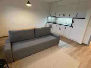 Pronájem bytu 1+kk, Opava, Kačírkova, 32 m2
