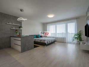 Pronájem bytu 1+kk, Olomouc - Povel, Slavonínská, 41 m2