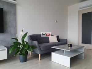 Pronájem bytu 1+kk, Olomouc - Povel, Slavonínská, 41 m2
