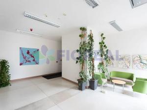 Pronájem kanceláře, Praha - Vinohrady, Korunní, 280 m2