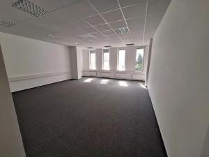 Pronájem kanceláře, Brno, Jana Babáka, 49 m2