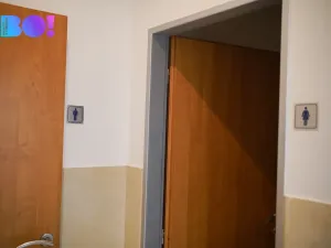 Pronájem kanceláře, Praha, Žerotínova, 47 m2