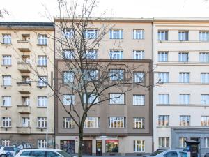 Pronájem bytu 1+kk, Praha, Sekaninova, 40 m2