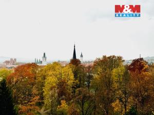 Prodej bytu 1+1, Litoměřice, Daliborova, 45 m2