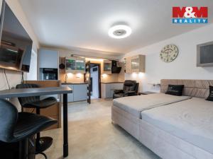 Prodej bytu 1+kk, Svatava, Palackého, 33 m2