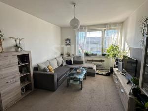 Pronájem bytu 2+1, Dolní Benešov, Petra Bezruče, 50 m2