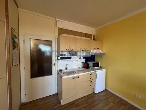 Pronájem bytu 1+kk, České Budějovice, J. Bendy, 32 m2