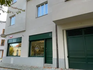 Prodej bytu 5+kk, Praha - Střešovice, Nad hradním vodojemem, 193 m2