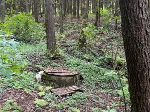 Prodej chalupy, Rychnov u Jablonce nad Nisou, 160 m2