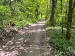 Prodej chalupy, Rychnov u Jablonce nad Nisou, 160 m2